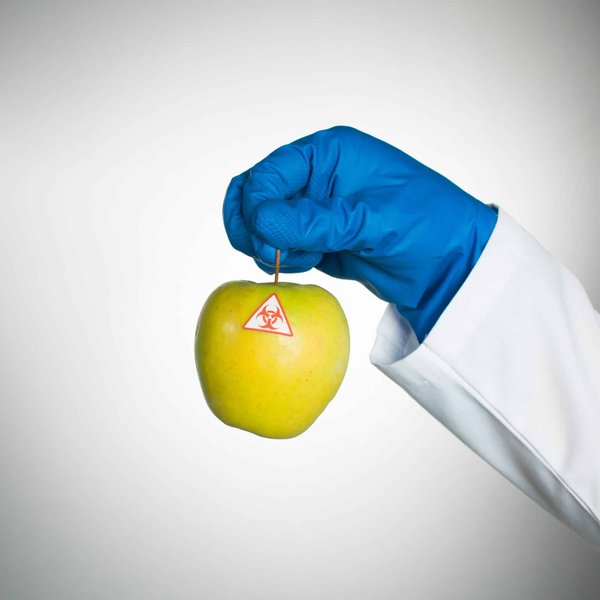 Quels sont les avantages de privilégier un magasin spécialisé bio ?